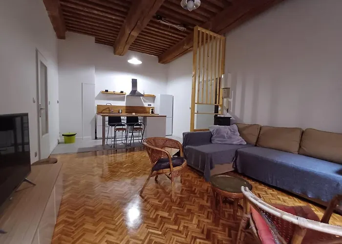 아파트 Old Town - Vieux -50 M2 Flat 리옹